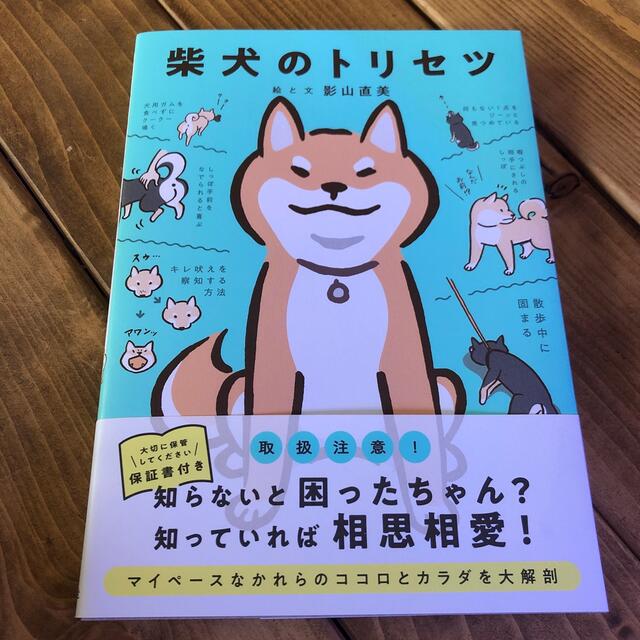 柴犬のトリセツ エンタメ/ホビーの本(住まい/暮らし/子育て)の商品写真