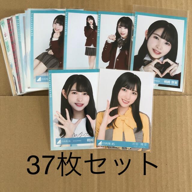 欅坂46(けやき坂46) - 日向坂46 生写真 37枚セット 柿崎芽実 コンプ