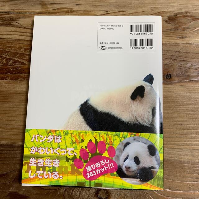 ＨＥＬＬＯ　ＰＡＮＤＡ アドベンチャーワールドのパンダたち エンタメ/ホビーの本(趣味/スポーツ/実用)の商品写真