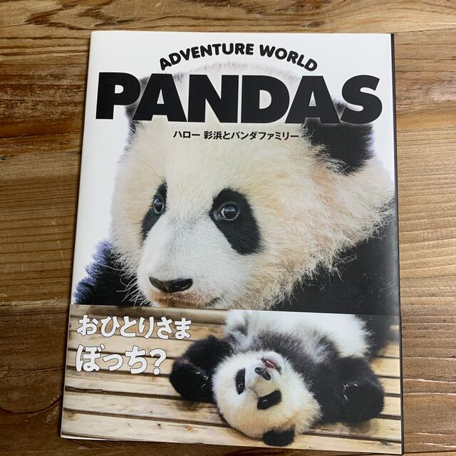 ＡＤＶＥＮＴＵＲＥ　ＷＯＲＬＤ　ＰＡＮＤＡＳ ハロー彩浜とパンダファミリー エンタメ/ホビーの本(趣味/スポーツ/実用)の商品写真