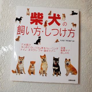 柴犬の飼い方·しつけ方(犬)