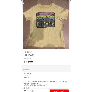 パタゴニア(patagonia)のパタゴニア　配送方法変更により再出品(Tシャツ/カットソー)