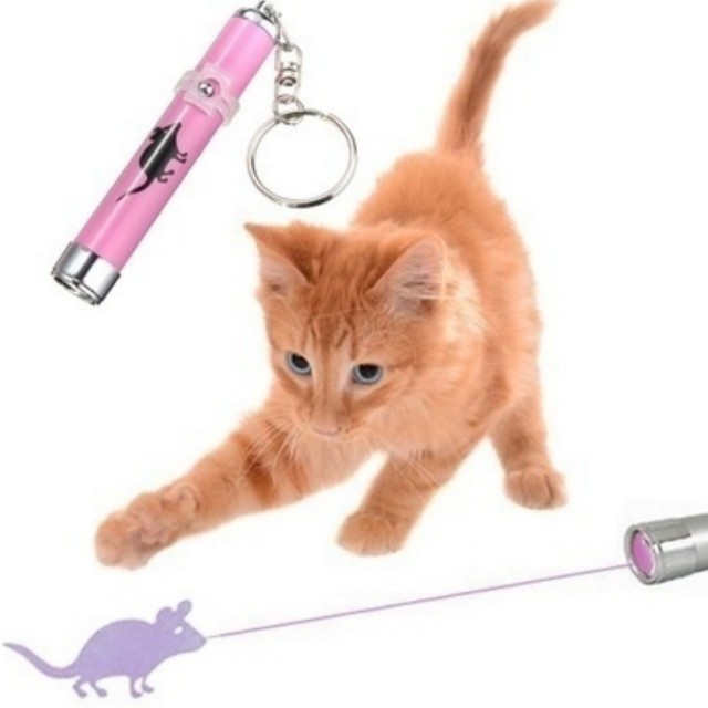 猫用 LED ポインター おもちゃ マウス/フィッシュ 食い付き抜群！ その他のペット用品(猫)の商品写真