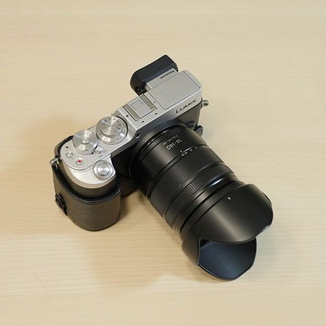 LUMIX DMC-GX8 ボディ 本革ケース付き | diamundialfuturos.concytec