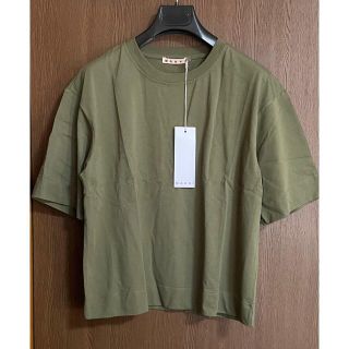 マルニ(Marni)の36新品 MARNI レディース コットンジャージー Tシャツ マルニ カーキ(Tシャツ(半袖/袖なし))