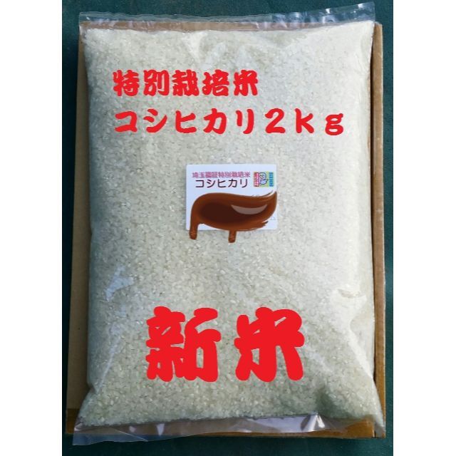 自然米‼️もち米10キロ無農薬 れんげ米 菊池米七城町栽培 自然米‼️もち米10キロ無農薬 れんげ米 菊池米七城町栽培