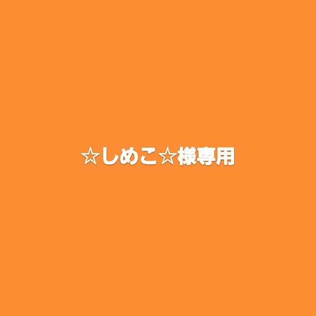 ☆しめこ様☆専用　パネルシアター　ゆうきりんりん ハンドメイドの素材/材料(型紙/パターン)の商品写真