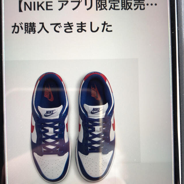 Nike WMNS Dunk Low "USA" ダンクロー　28.5センチ