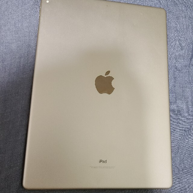 iPad(アイパッド)のipad pro 12.9 第２世帯　ジャンク品 スマホ/家電/カメラのPC/タブレット(タブレット)の商品写真