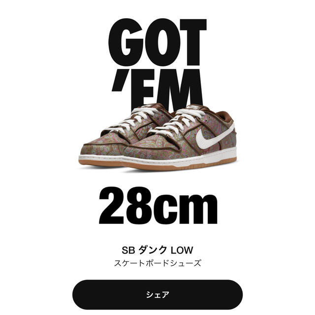 NIKE DUNK SB LOW PRO Paisleyダンクペイズリーメンズ