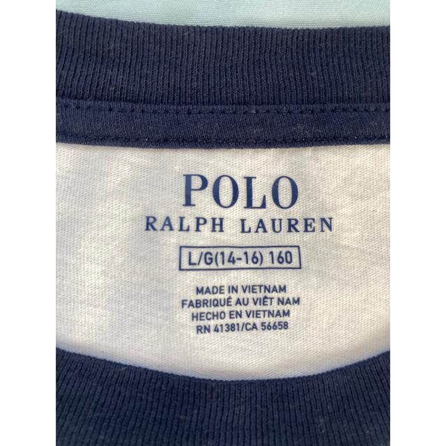 POLO RALPH LAUREN(ポロラルフローレン)のポロラルフローレン ポロベア　Tシャツ レディースのトップス(Tシャツ(半袖/袖なし))の商品写真
