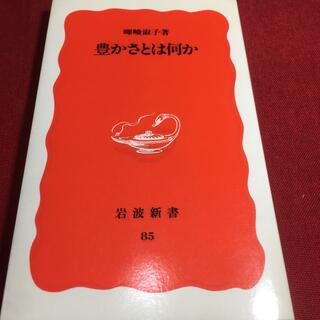 イワナミショテン(岩波書店)の豊かさとは何か(人文/社会)