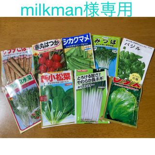 野菜の種(野菜)