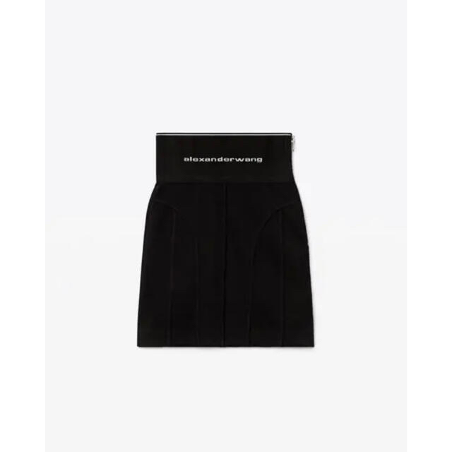 Alexander wang アレキサンダーワン ロゴ スカート - www.sorbillomenu.com