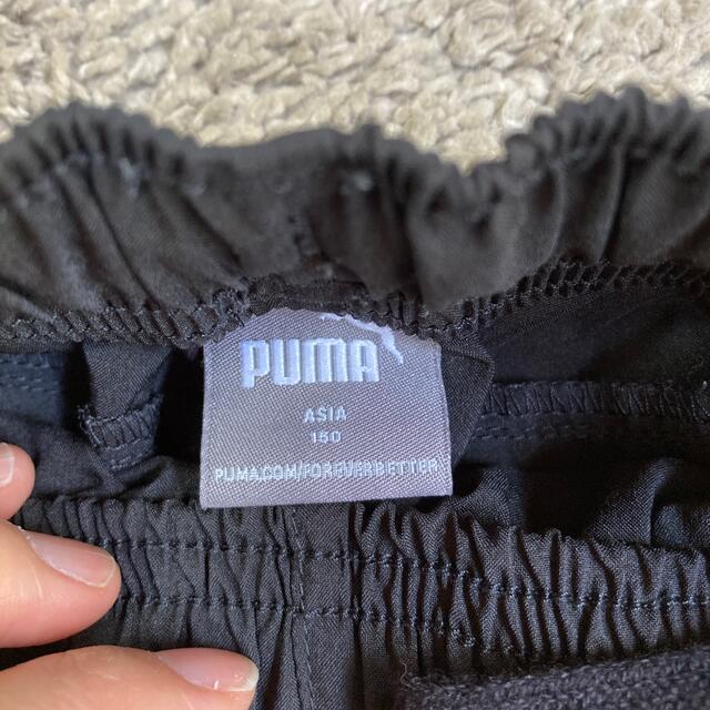 PUMA(プーマ)の【PUMA】短パン キッズ/ベビー/マタニティのキッズ服男の子用(90cm~)(パンツ/スパッツ)の商品写真