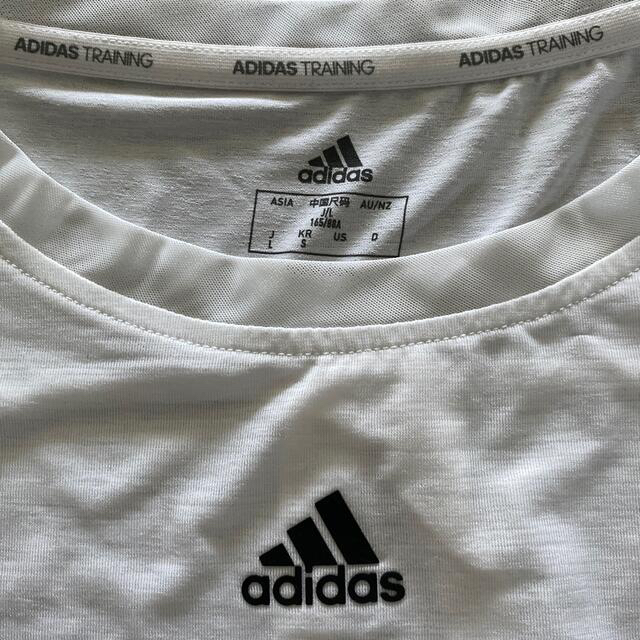 adidas(アディダス)の白Tシャツ　adidas サイズ　Ｌ レディースのトップス(Tシャツ(半袖/袖なし))の商品写真