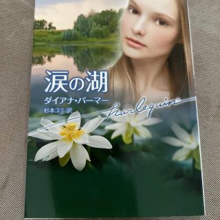 涙の湖(文学/小説)