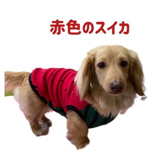 ヒロンポン様専用『赤色のスイカ』メルロコ　ダックス　犬服(ペット服/アクセサリー)