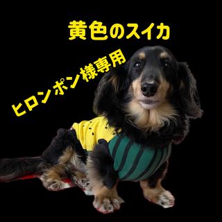 『黄色のスイカ』２枚　ヒロンポン様専用　犬服(ペット服/アクセサリー)