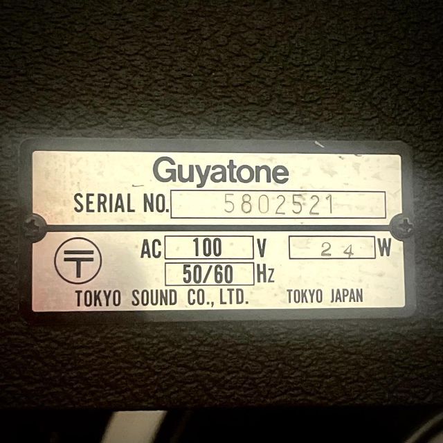 Guyatone BASS MAX B-60 3