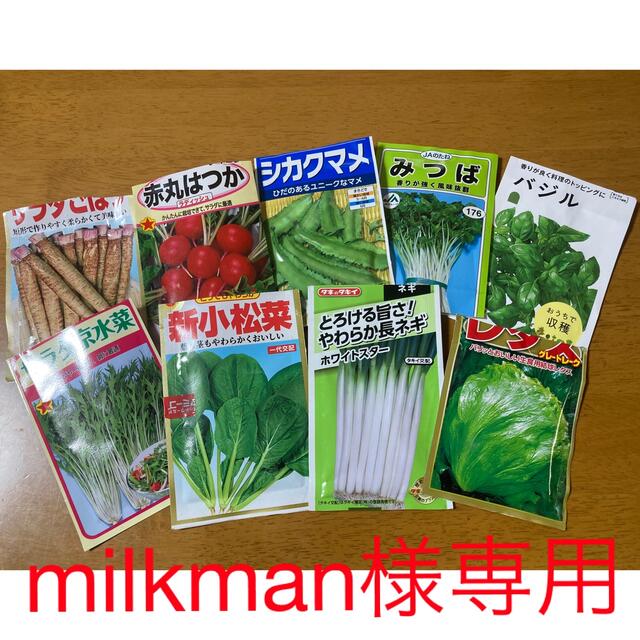 野菜の種 食品/飲料/酒の食品(野菜)の商品写真