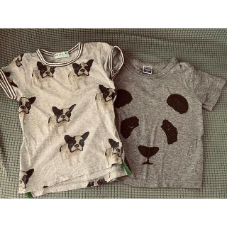 ハッカキッズ(hakka kids)のハッカキッズ　犬Tシャツ　100 1枚(その他)