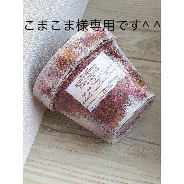 多肉植物リメイク缶鉢寄せ植えにどうぞ^ ^6/2迄出品