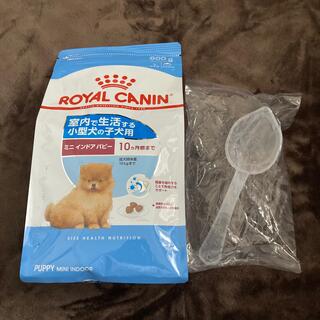 となります ROYAL CANIN - ろっくアルミンユー様専用 ロイヤルカナン プードル成犬用の通販 by coco's shop｜ロイヤル