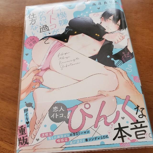 不機嫌イトコがかわい過ぎて仕方ない　ｓｉｄｅ直樹 エンタメ/ホビーの漫画(ボーイズラブ(BL))の商品写真