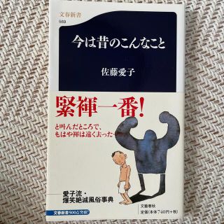 今は昔のこんなこと(文学/小説)