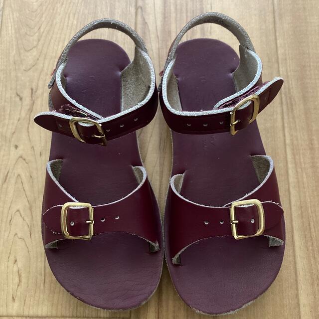 こどもビームス(コドモビームス)のsaltwatersandals  surfer 11  キッズ/ベビー/マタニティのキッズ靴/シューズ(15cm~)(サンダル)の商品写真