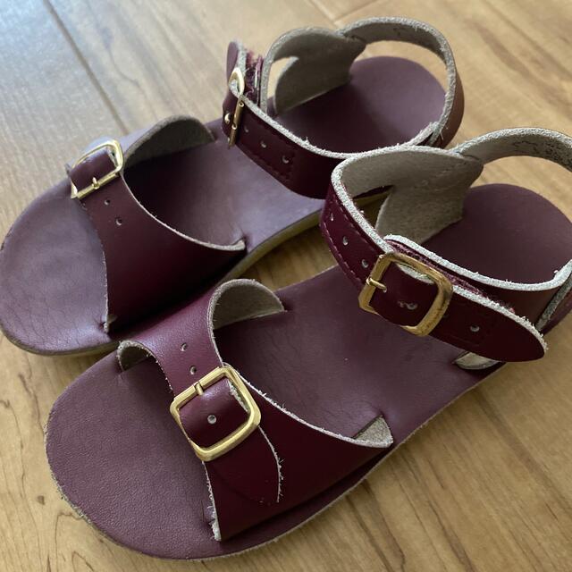 こどもビームス(コドモビームス)のsaltwatersandals  surfer 11  キッズ/ベビー/マタニティのキッズ靴/シューズ(15cm~)(サンダル)の商品写真