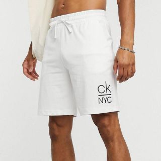 Calvin Klein - 海外限定 新品未使用品 Calvin Klein ショーツ 海パン