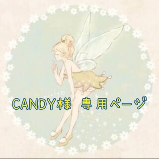 CANDY様 専用ページ(その他)