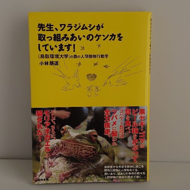 先生、ワラジムシが取っ組みあいのケンカをしています! エンタメ/ホビーの本(文学/小説)の商品写真