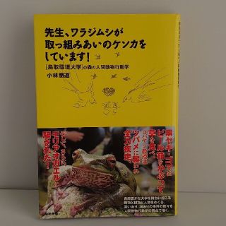 先生、ワラジムシが取っ組みあいのケンカをしています!(文学/小説)