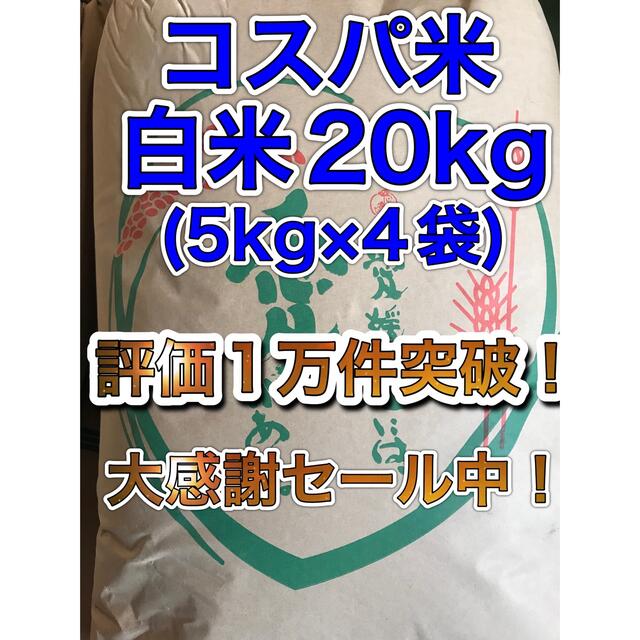 【数量限定】大特価セール！コスパ米20kg(5kg×4袋) 新米　お米　白米 食品/飲料/酒の食品(米/穀物)の商品写真