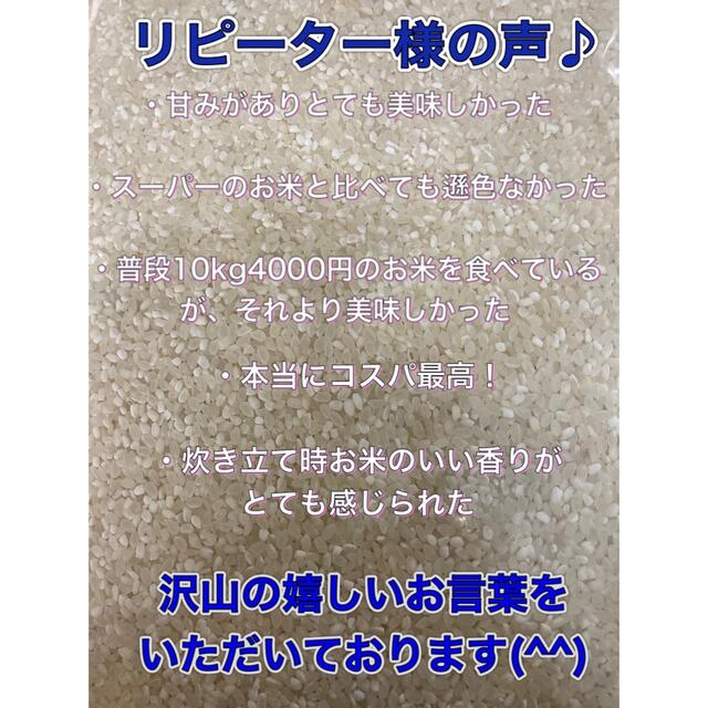 【数量限定】大特価セール！コスパ米20kg(5kg×4袋) 新米　お米　白米 食品/飲料/酒の食品(米/穀物)の商品写真