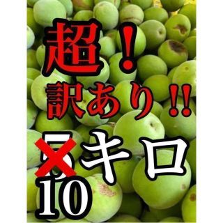 超ワケあり！でも新鮮！群馬県産 梅10キロ 送料込み　予約受付　順次発送します(フルーツ)