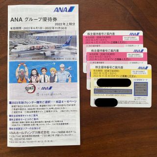 エーエヌエー(ゼンニッポンクウユ)(ANA(全日本空輸))のANA 株主優待券(その他)