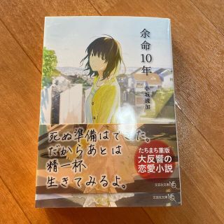 余命１０年 小坂流加 恋愛小説 文芸社文庫NEO(文学/小説)