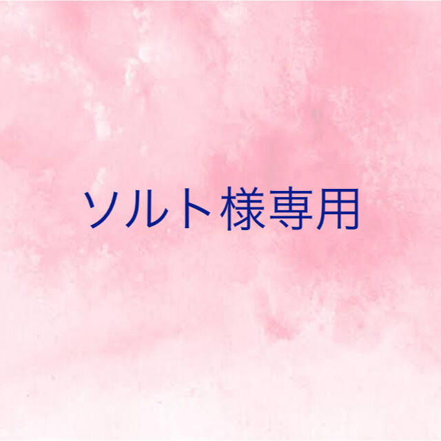 ソルト様専用  冬季講習 ブランド雑貨総合 円引き