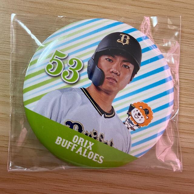 新規会員登録でポイント進呈 ぼんち揚げ オリックス・バファローズ 宮城大弥 缶バッジ b4971041 定価販売 -www.cfscr.com 新規会員登録でポイント進呈 ぼんち揚げ オリックス・バファローズ 宮城大弥 缶バッジ b4971041 定価販売 -www.cfscr.com