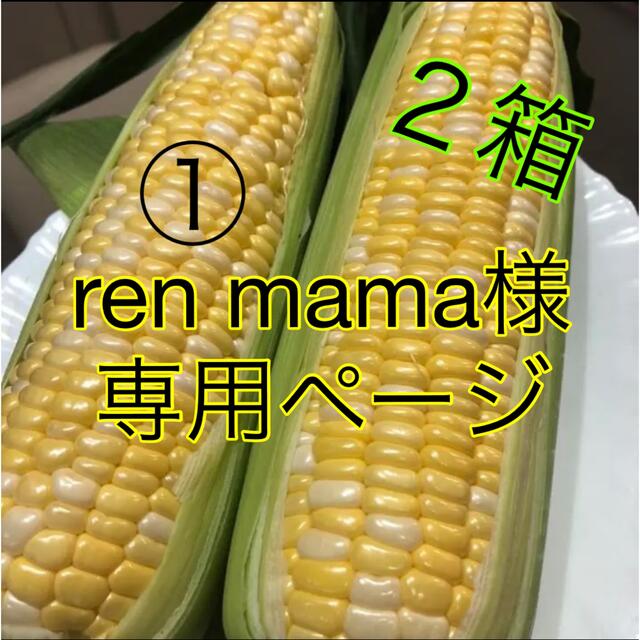 全商品オープニング価格特別価格】 Ri-mama様 専用ページ kids-nurie.com