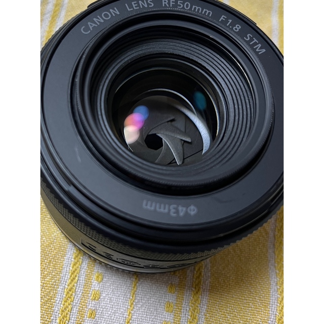 Canon(キヤノン)のCanon EOS R6 ボディ＋RF50mm F1.8 STM スマホ/家電/カメラのカメラ(ミラーレス一眼)の商品写真