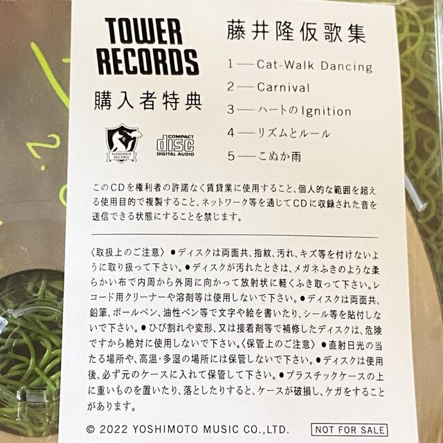 CD藤井隆 仮歌集 CD タワーレコード マカロワ 後藤輝基