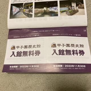 ハンシンタイガース(阪神タイガース)の甲子園歴史館　入館無料券2枚(野球)