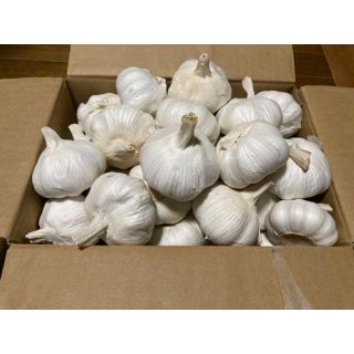 2kg 嘉定種 令和4年度産 ニンニク 中球(M球程度) にんにく(野菜)