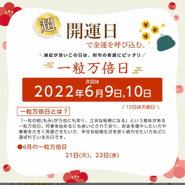 【新品】通帳ケース　スキミング防止　カード入れ　長財布 レディースのファッション小物(財布)の商品写真