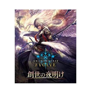 リバース(Rebirth)のShadowverse EVOLVE 1カートン 20box シャドウバース(Box/デッキ/パック)